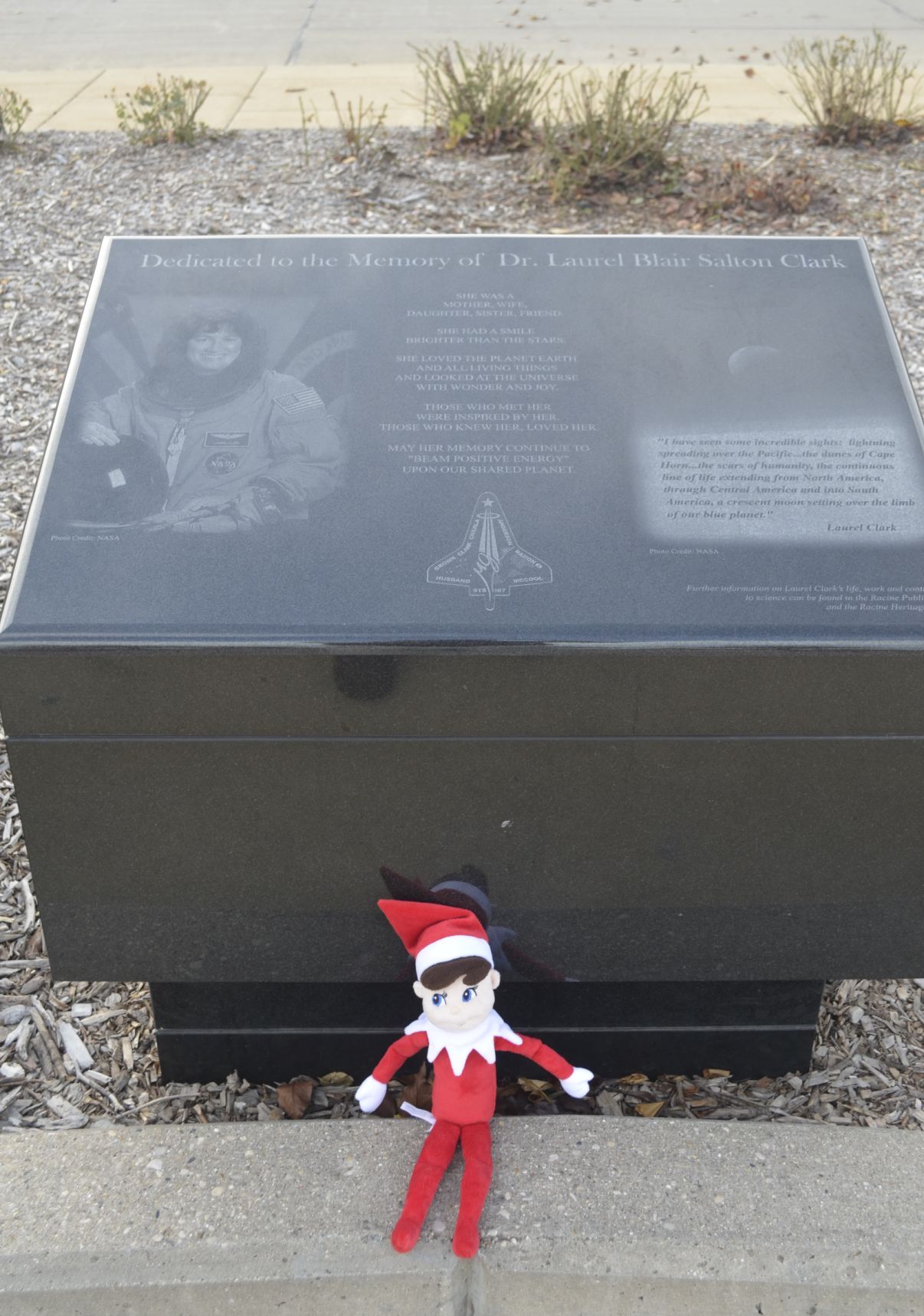 The Elf on The Shelf